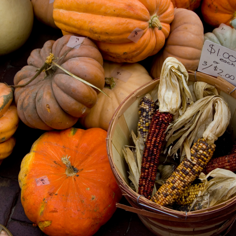 Harvesting Happiness: Welcoming the Abundance of 2015